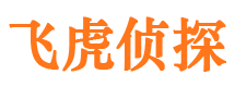 安乡飞虎私家侦探公司